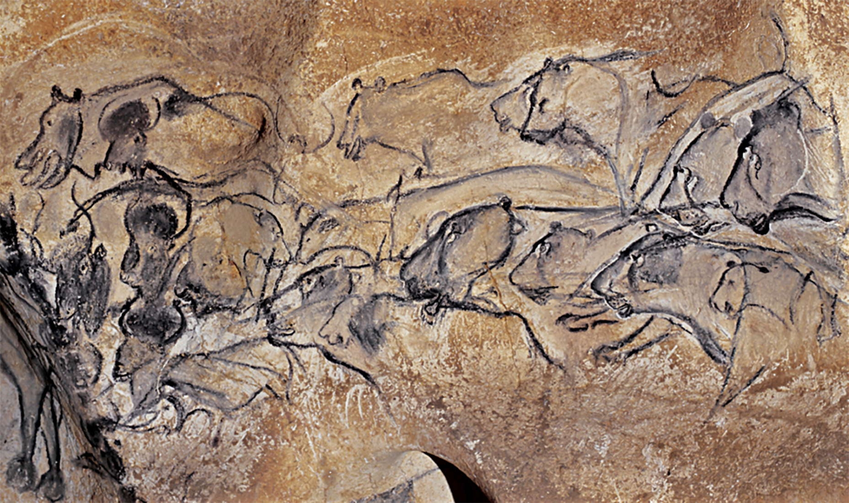 Panel lvů v jeskyni Chauvet.