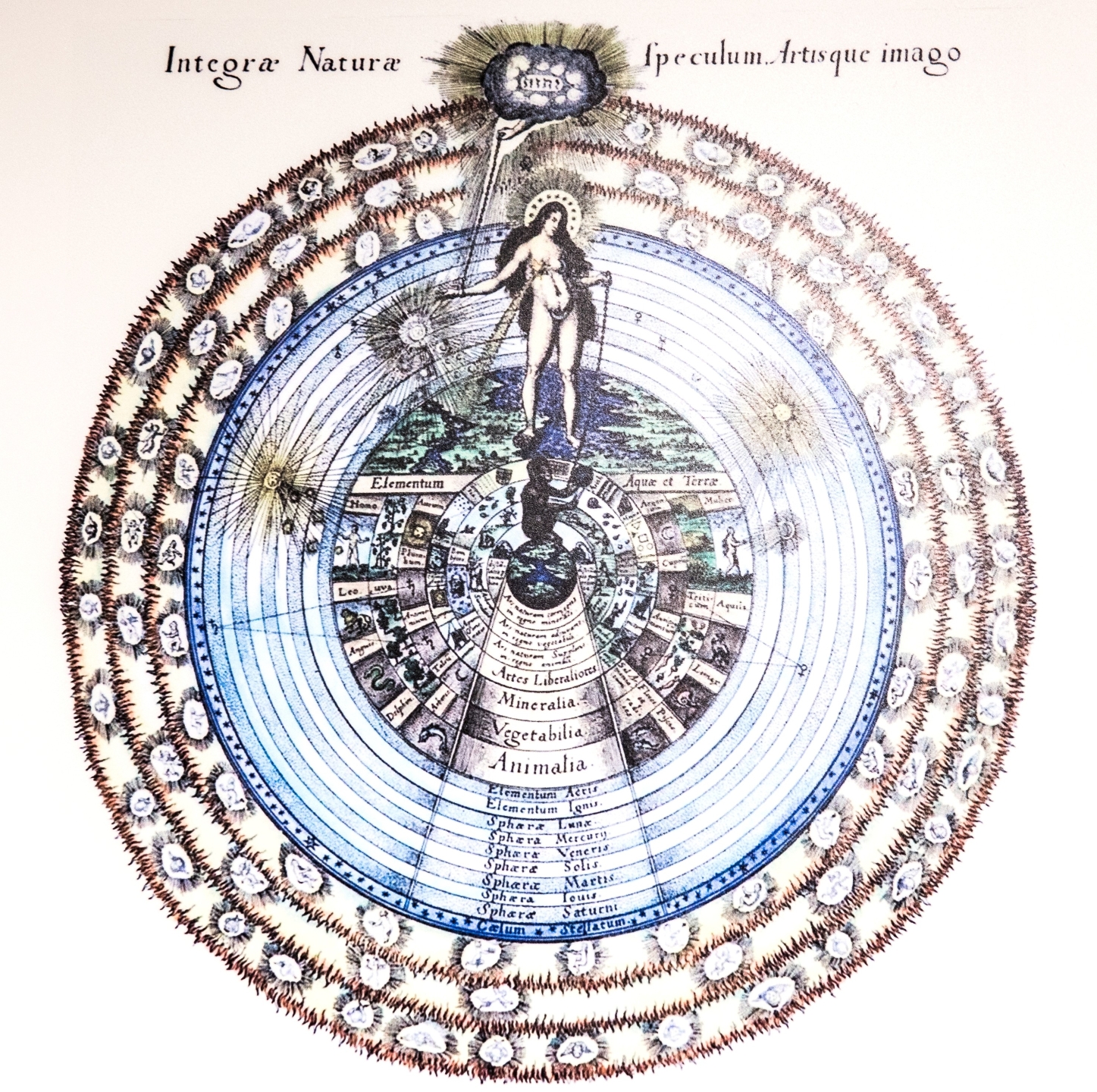 Anima mundi